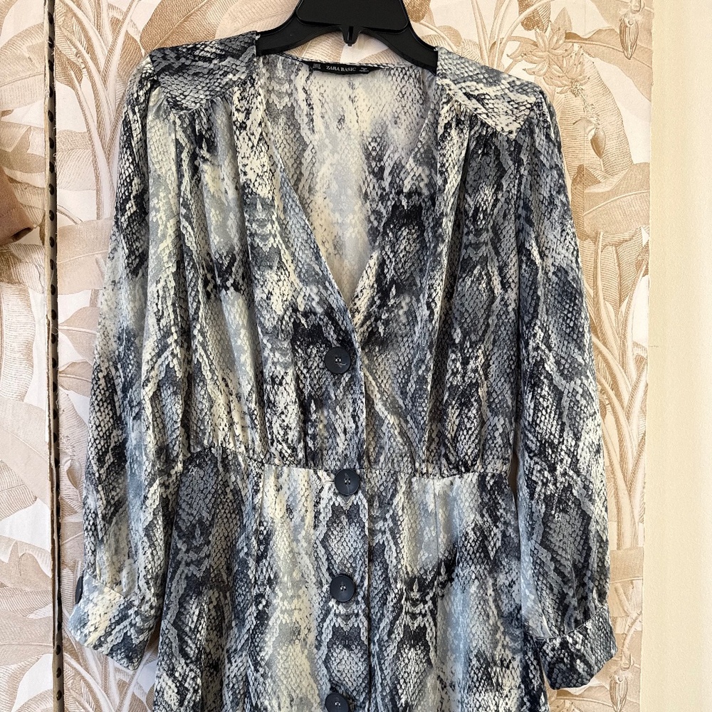 Snake Print Mini Dress – Button Front Long Sleeve - Picture 2 of 4
